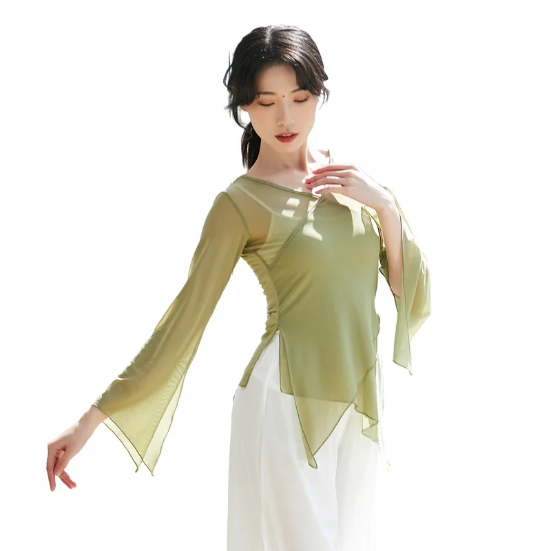 Classical Dance Shirt Sexy V Neck Body Rhyme Transparent Gauze Dress Women Chinese Folk Dancer Performance Costume Long Sleeve