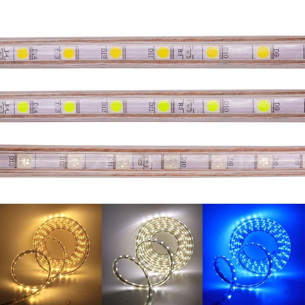 220V LED Strip SMD 5050 60LEDs/m Waterproof Flexible Tape LED Lights Outdoor Home Decor Warm White Blue with EU Plug and Switch