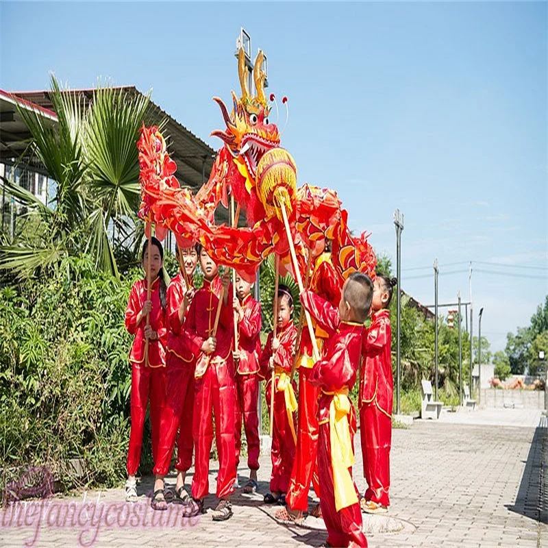 5.5m Dragon Dance Costume Size 6 For 3-8 Age Kids, Children Student Performance, Party Performance, Parade Folk Stage, China,