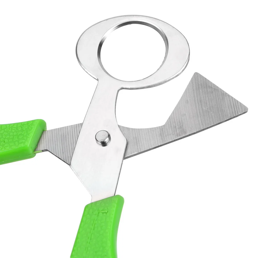 Quail Egg Shell Scissors Rust Resistant Durable Cigar Cutters Multifunction Kitchen Tools Stainless Steel Blade
