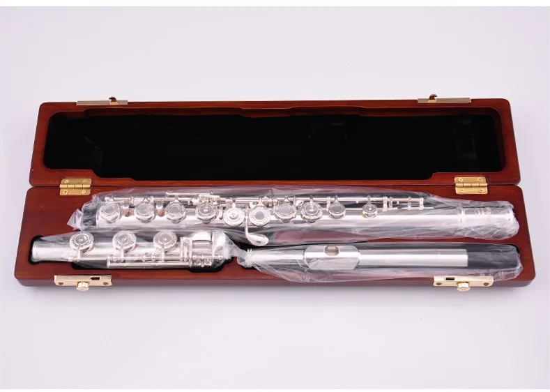 Pearl Quantz 795 Flute High Quality Silver Plated 17 Keys Flute Open Hole E-Mech Flute Musical Instrument