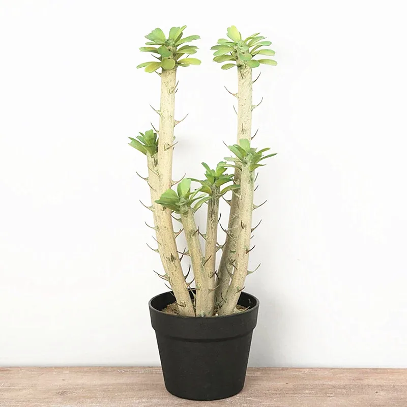 50cm Artificial Cylindrical Cactus Plants Tropical Plastic Rare Branch Art Crafts Modeling Props Hotel Office Balcony Home Decor