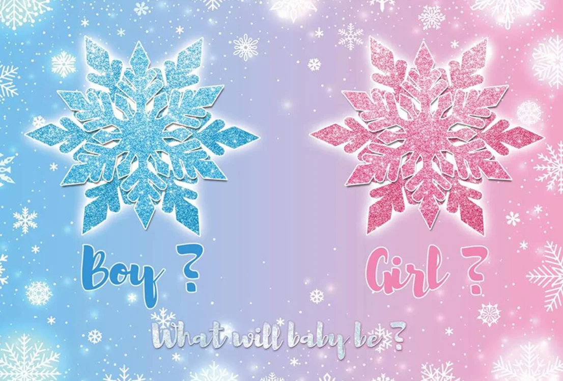 Christmas Snowflake Gender Reveal Backdrop Pink or Blue He or She What Will Baby Be Photography Background Pregnancy Reveal Prop