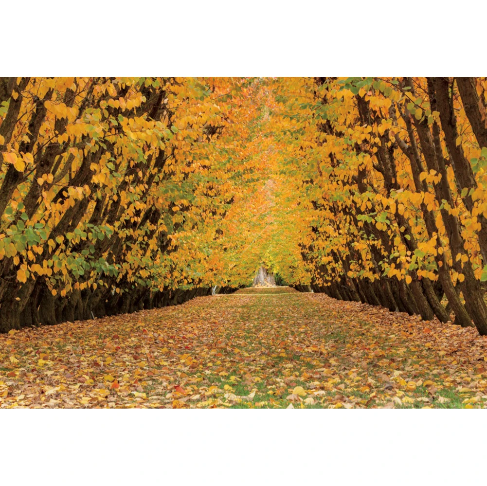 Laeacco foto telón de fondo bosque de otoño Hojas de arce amarillo camino Photozone fondo de fotografía de estudio fotográfico Photocall Prop