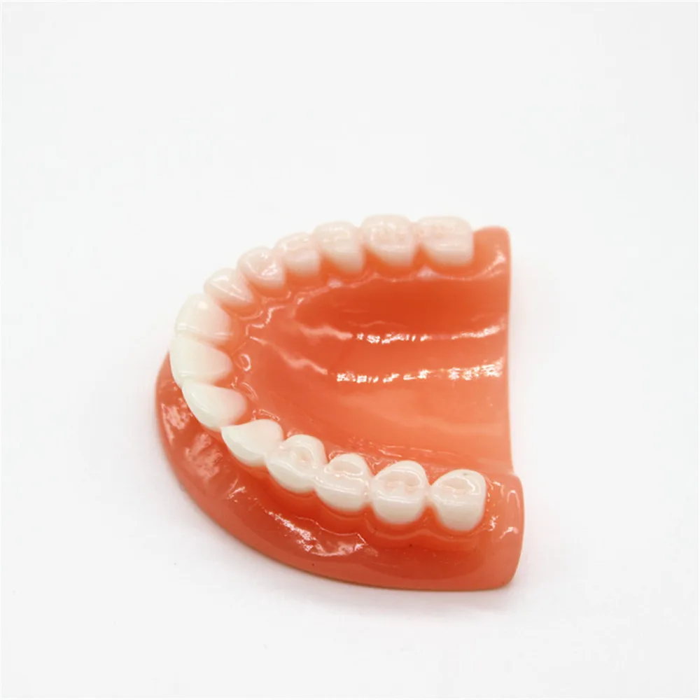 Tooth Key Chain Mold Resin Jaw Model Denture Keyring Keychain For Bags Charm Clinic Popular 2023 Trending for Kids