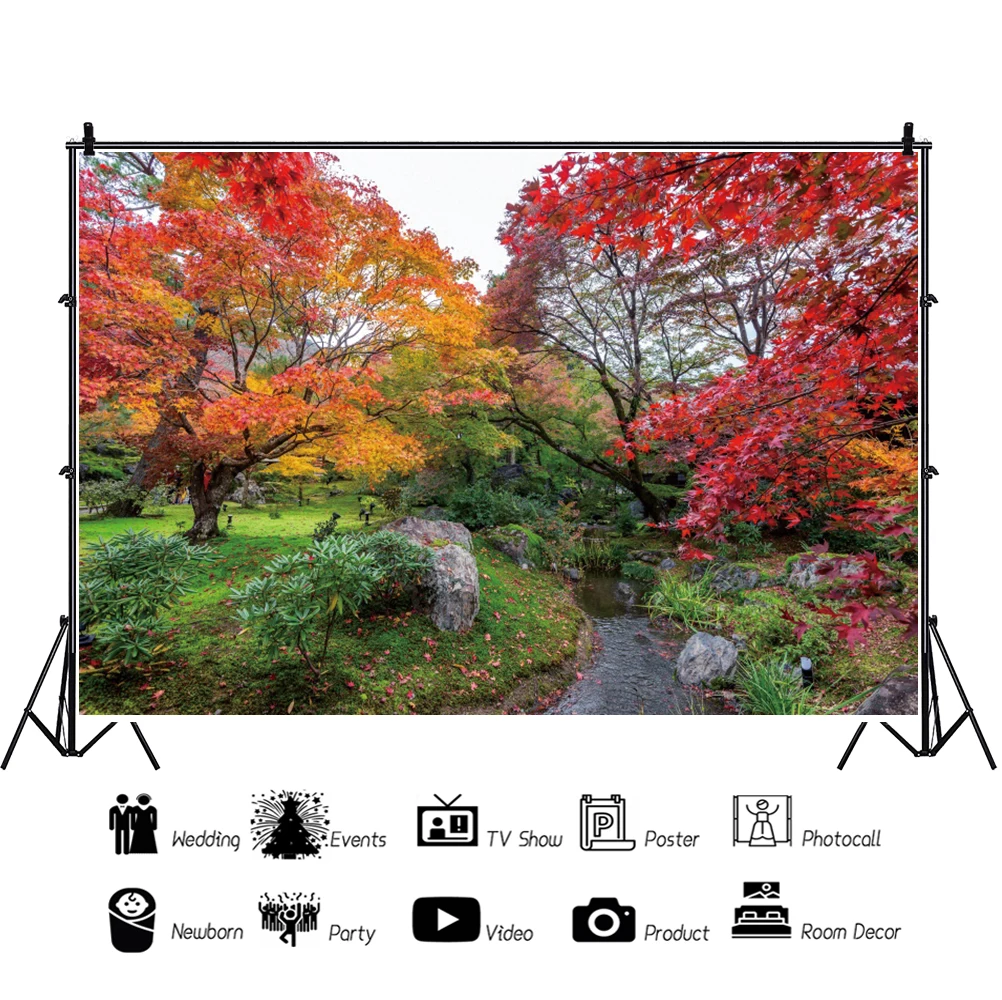 ฤดูใบไม้ร่วงต้นไม้สีเขียวธรรมชาติ Scenic ภาพฉากหลัง Lake Park Garden Way สวยดู Photocall ภาพพื้นหลัง