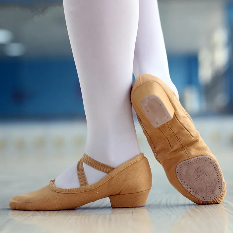 New Arrival Hot Sale Brand Unisex Canvas Teacher Practice Ballet Dance Shoes Heeled Black Camel Pink Color Salsa Shoes