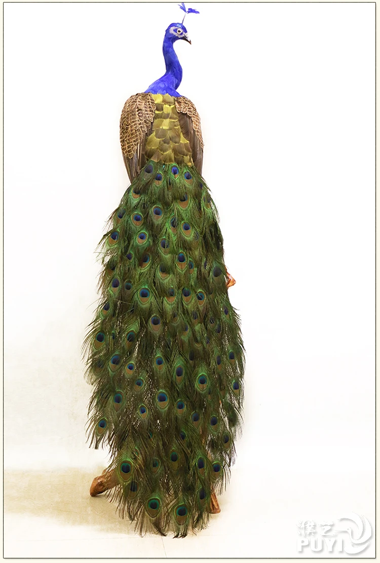 

huge real life beautiful peacock model long foam&feather simulation beautiful peacock bird gift about 180cm xf2937