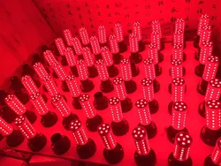 LED Corn Light Red Blue Green decoration Light E27 bulb AC220V AC110V DC12V SMD 5730 Growing Lamp Greenhouse Holiday Festival