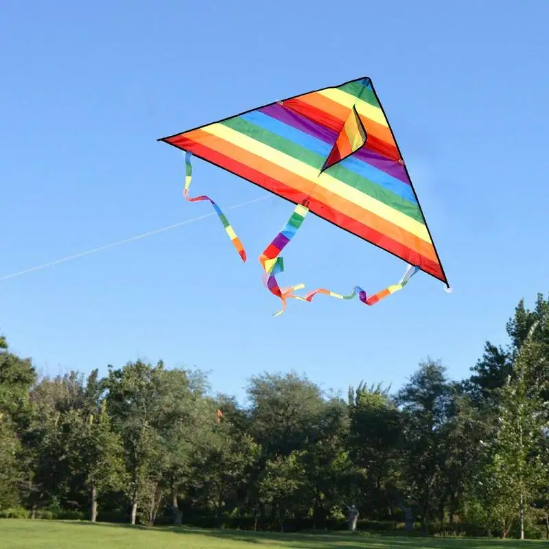 Rainbow Color Triangle Kite Long Tail Polyester Outdoor Kites Flying Toys For Children Stunt Surf Kite With Control Bar And Line