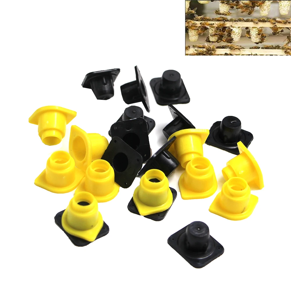 800PCS Apiculture Queen King Bee Rearing Cage Base Celular Pedestal Foundation Plastic Cell Bees Tools  Wholesale Supplies