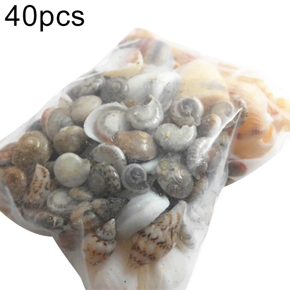 40PCS Mixed Ocean Sea shells Wedding Decor Beach Theme Party, Seashells Home Decorations, Fish Tank, sea star Drop shipping