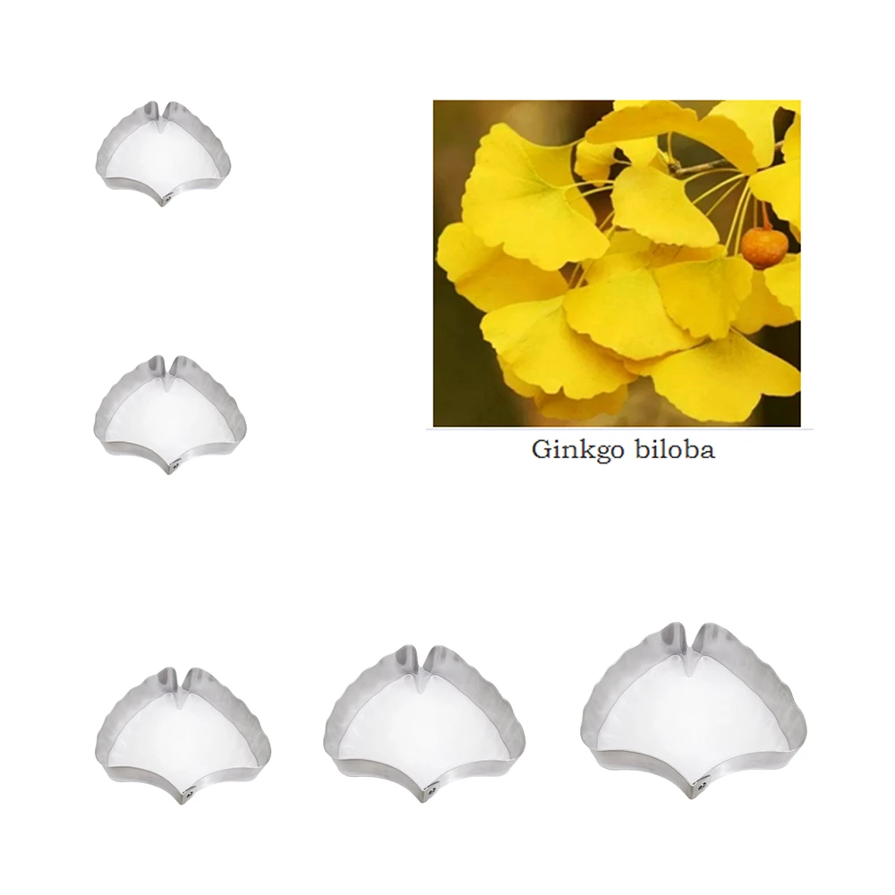 Ginkqo biloba  fondant sugar flower cutters baking cake decorations Polymer Clay Cold Porcelain gumpaste tools