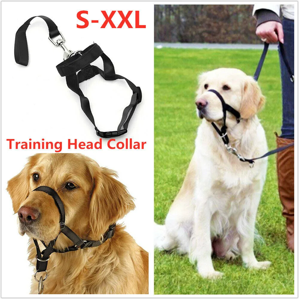 Dogalter Dog Halter Halti Training Head Collar delicato Leader Harness Nylon Grooming Anti Stop masticare accessori per animali domestici