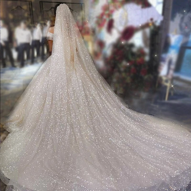 B58-L Sparkly Bling Bling Long Veils White Champagne Chapel Length Two Layer Bridal Veil with Comb Cover Face Wedding Veils