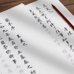 Chinese Brush Calligraphy Copybooks Heart Sutra Tao Te Ching Copy Book Miao Hong Student Beginner Poem Xuan Paper Copybook Set