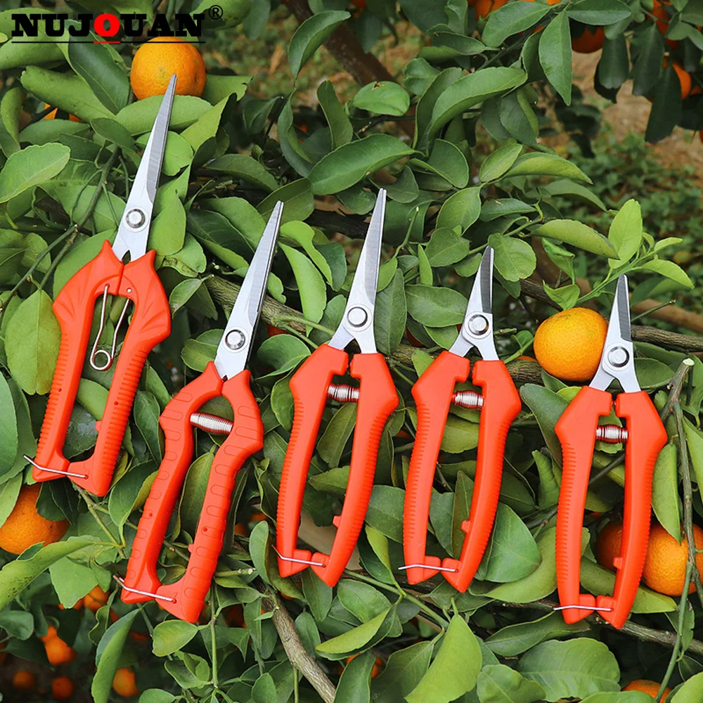 Tijeras de podar de Metal para jardinería, herramientas de jardín, tijeras de podar, cortador de mano, uva, fruta, recolección de hierba, maceta para el hogar