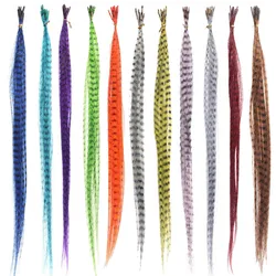 55PCS Synthetic Straight Multi-color Feathers Hairpiece Wig Hair Extension Beauty Tool For Hair Feather Extensions