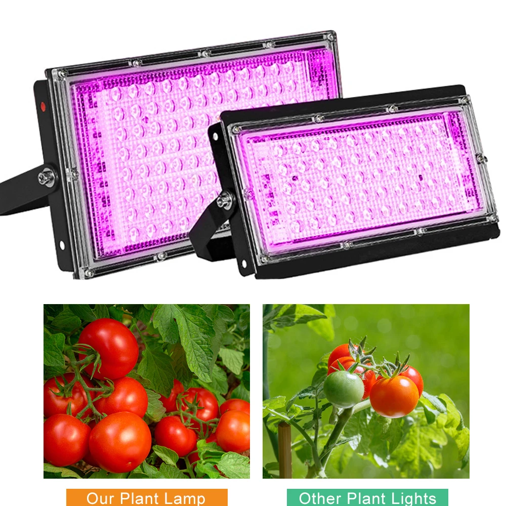 50W 100W 200W LED 성장 빛 220V Phyto 램프 방수 Phytolamp 전체 스펙트럼 식물 빛 Phytolamp 홈 식물에 대 한 Growbox