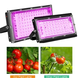 50W 100W 200W LED 성장 빛 220V Phyto 램프 방수 Phytolamp 전체 스펙트럼 식물 빛 Phytolamp 홈 식물에 대 한 Growbox