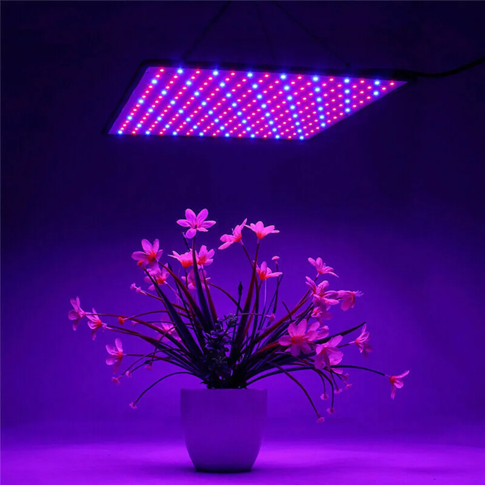 led horticole chambre de Culture  Lampe de croissance de plantes, 1000W, LED, spectre complet, Culture/serre intérieure de légumes, graines