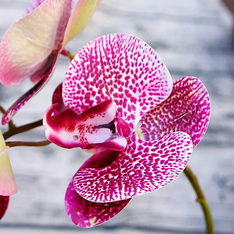 1 Bundle(6 Heads) Plastic Butterfly Orchid Vases for Home Decor Wedding Decorative Plants Christmas Gifts Box Artificial Flowers