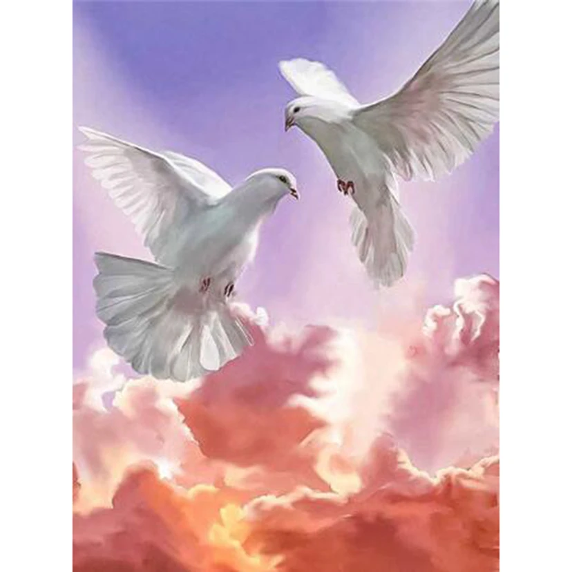 5D DIY Diamond Painting Square/Round Diamond Animal Painting White Pigeon Beauty Picture Cross Stitch Home Decoration Art WG3253