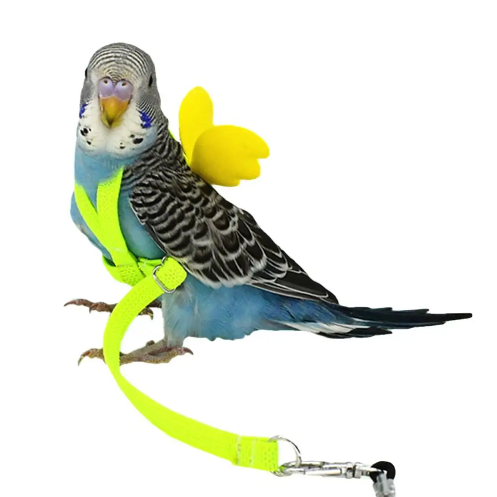 Adjustable Parrot Bird Harness Leash Set Anti-bite Training Harness For Parrots Outdoor Flying Rope For Cockatiel Small Birds