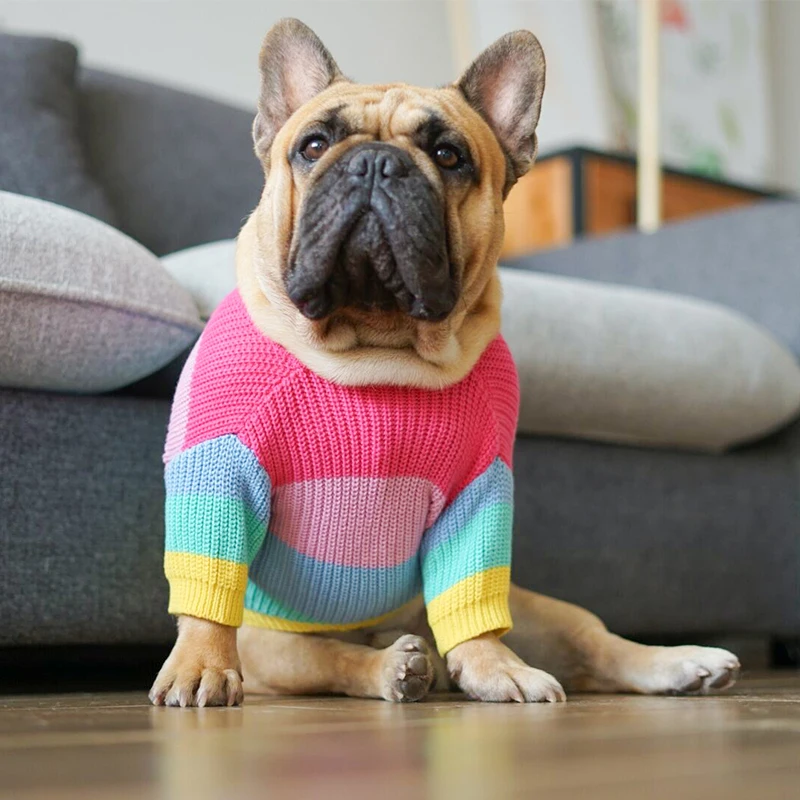 Rainbow Puppy Dog Sweater Winter Warm Clothing for Small Dogs French Bulldogs Christmas Costume Knitting Dog Clothes Mascotas