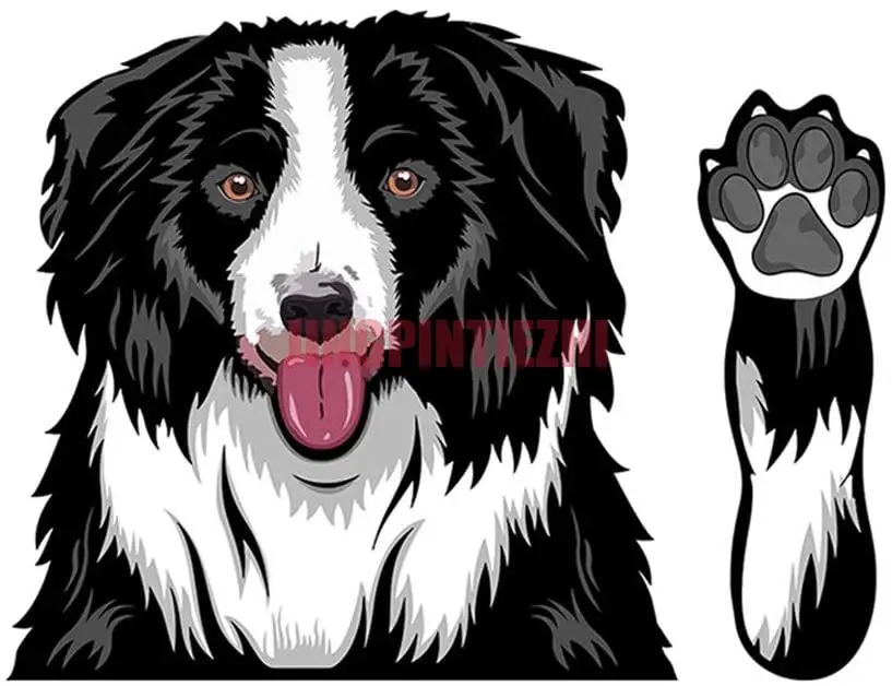 Cartoon Border Collie Removable Wiper Sticker PVC Dog Car Sticker Rear Window Wiper Sticker Car Styling Decoration Car
