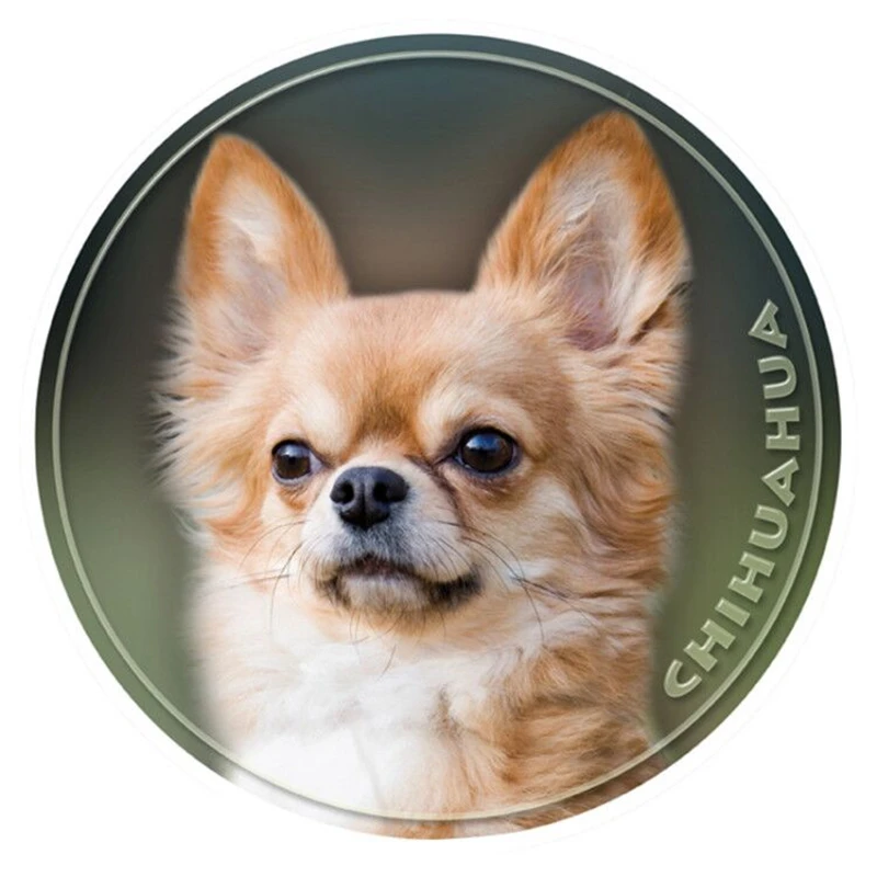 

S40366# Various Sizes PVC Decal Chihuahua Dog Car Sticker For Bumper Rear Window Laptop Refrigerator Toilet