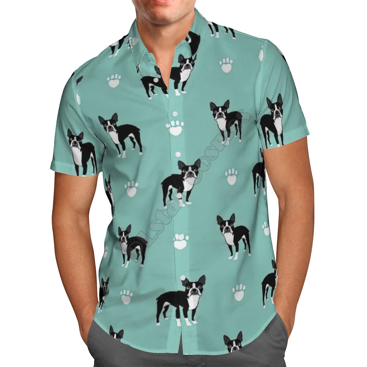 Hawaii Shirt Hawaiian beach Summer Funny Schnauzer 3D Printed Men's Shirt Harajuku Tee hip hop Casual shirts 08