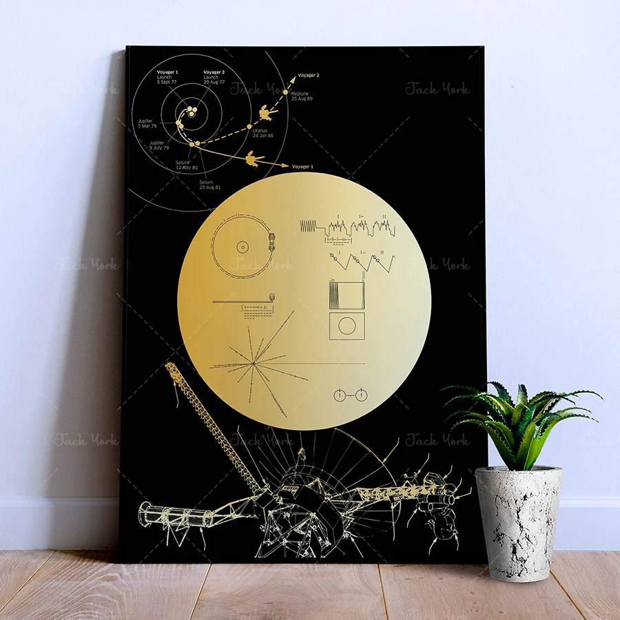 

Voyager 1 Golden Record — poster