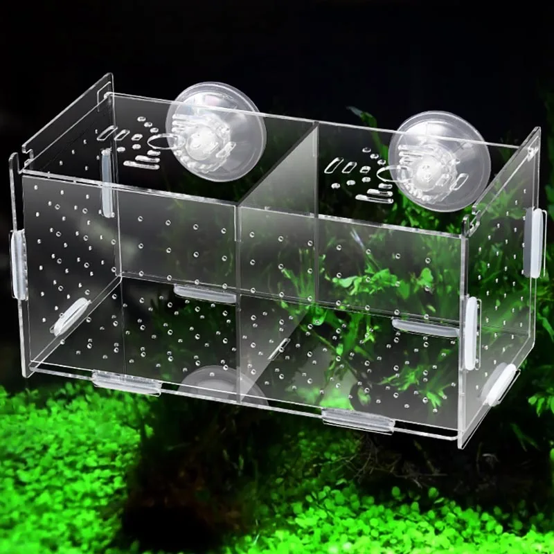 Guppy Breeding Box Acrylic Fish Tank Isolation Box Fish Egg Breeding Case Small Fish Delivery Room