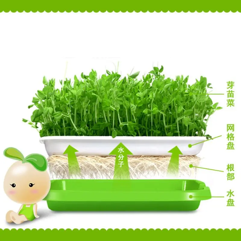 Seed Sprouter Tray BPA Free PP Soil-Free Wheatgrass Grower Lid Plate Hydroponic