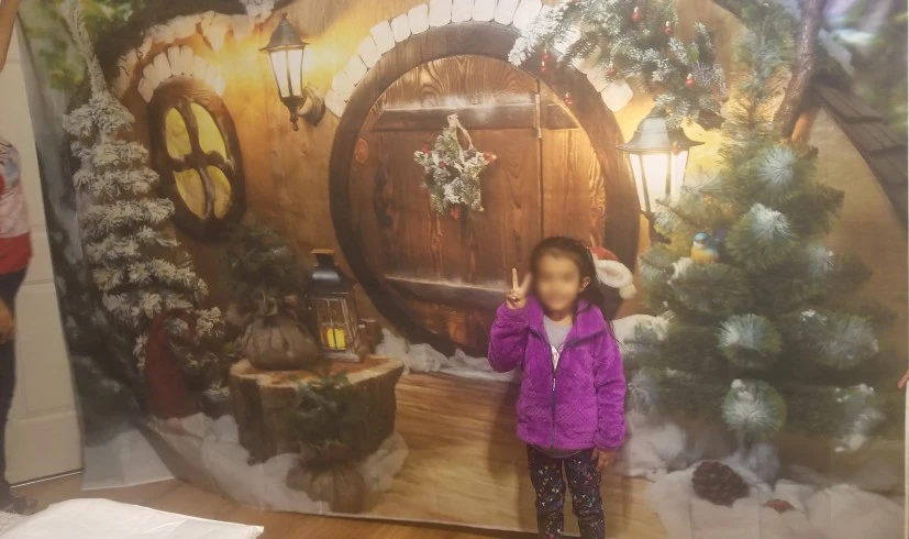 Capisco Winter Photography Backdrops Christmas Tree Deer Gift Lantern Kids Gift Pine Backgrounds Photocall For Photo Studio