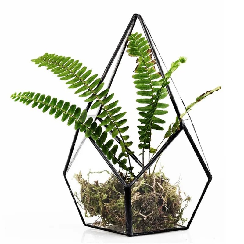 Modern Table Glass Terrarium Four-surfaces Diamond Soldered Glass Planter Bottle Garden Terrariums for Plants/Succulents/Flowers