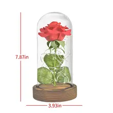 Eternal Rose in Glass Dome with LED Light #5