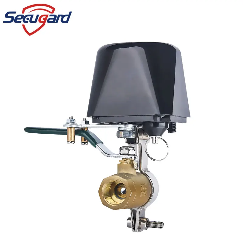 WiFi Smart Water Valve valvola Gas compatibile con Alexa Google Home spegnimento Tuya Smart Life APP telecomando Home