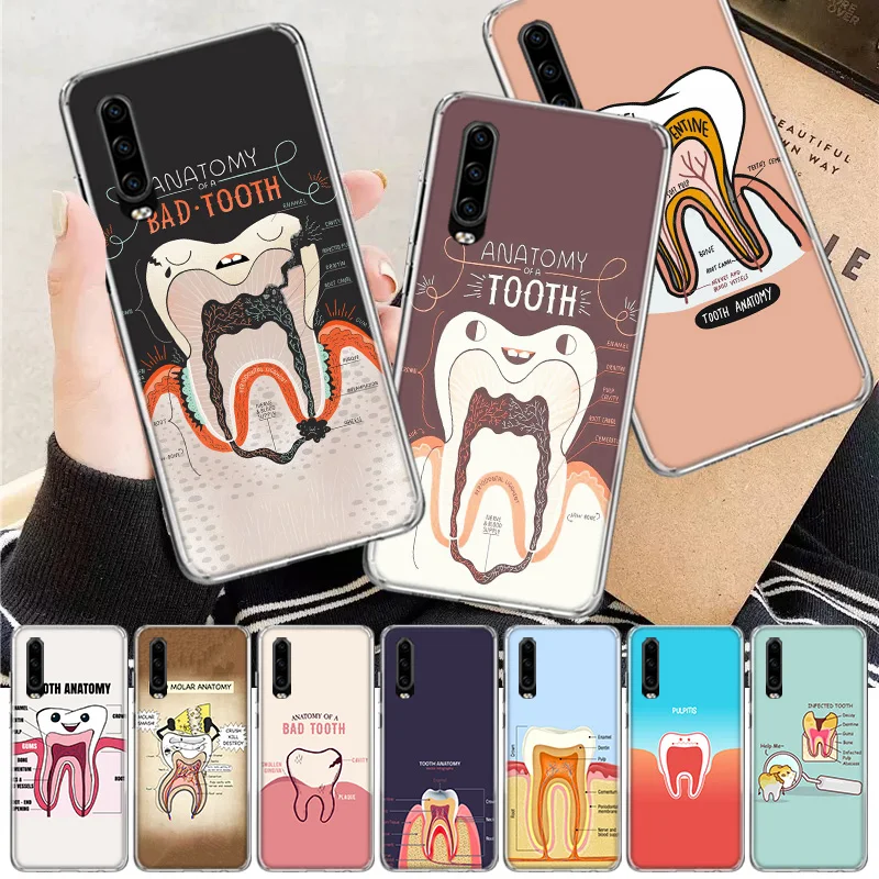 NEW ARRIVAL Dental Anatomy Bad Tooth Soft Cover Phone Case For Huawei P30 P20 P10 P40 P50 Mate 40 30 20 10 Pro Lite + Soft Cover