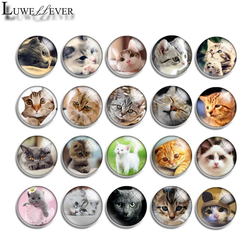 12mm 14mm 16mm 20mm 25mm 30mm 573 Cute Cat Mix Round Glass Cabochon Jewelry Finding 18mm Snap Button Charm Bracelet