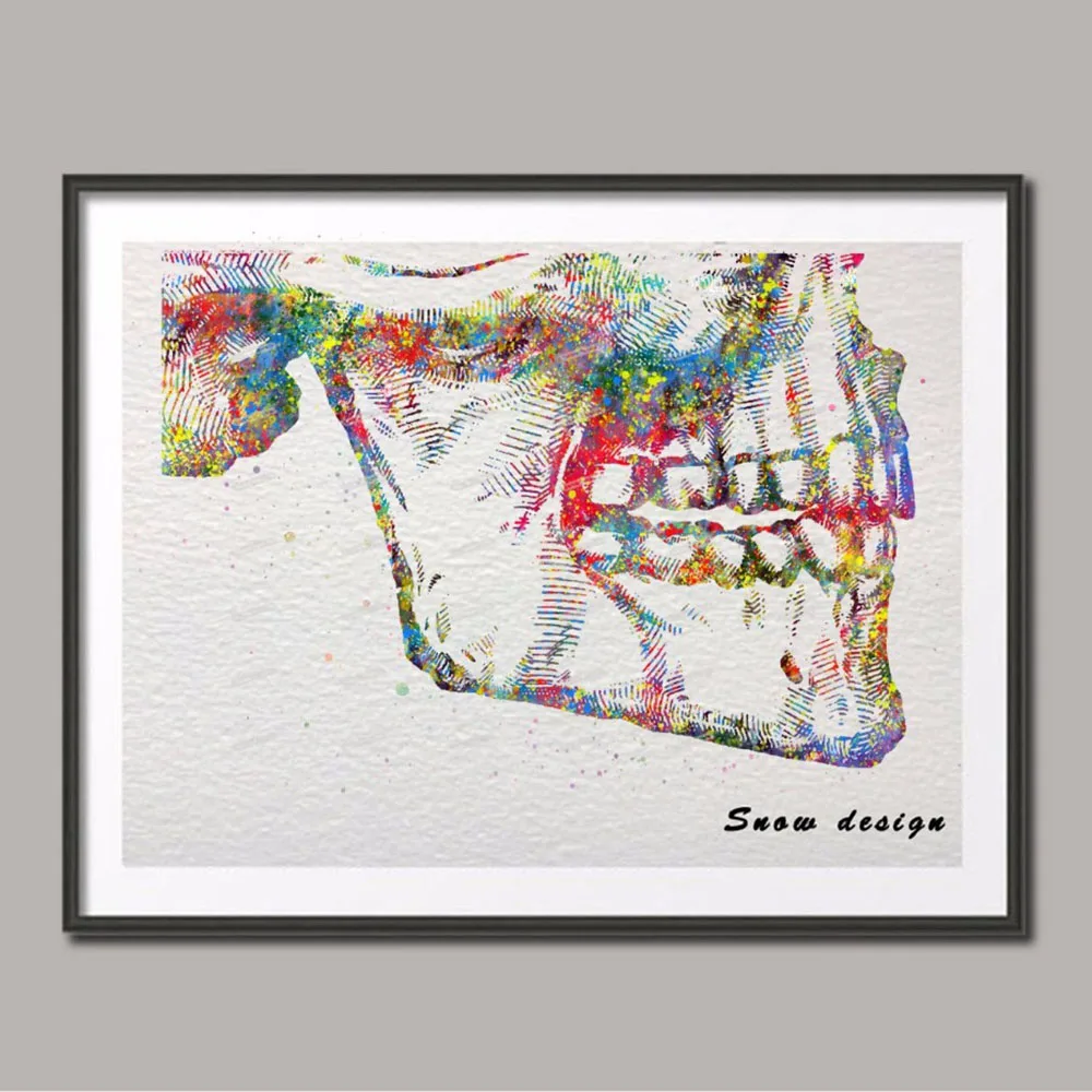 Modular picture poster print original tooth colorful tooth root anatomy canvas painting medicine wall art doctor office decor