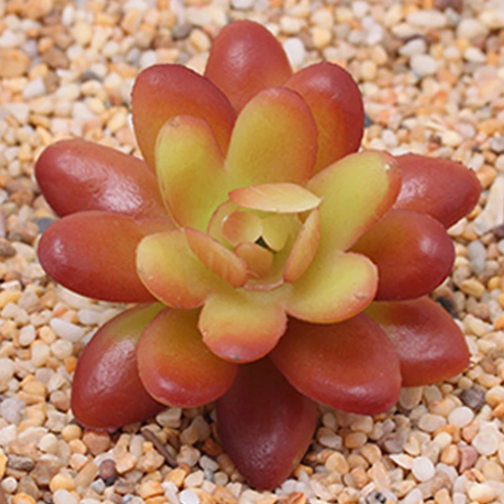 Mini Artificial Succulent Plant Pack of 12 Decoration Unpotted Indoor Outdoor Home Succulents Decors Color Random