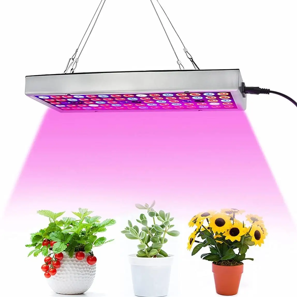 10 szt. Pełnego spektrum 220V 110V 20W 30W 50W czip typu Cob lampa z żarówką LED do uprawy roślin