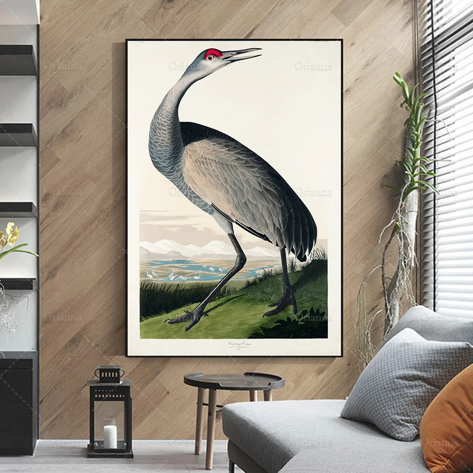 Hooping Crane from Birds of America by John James Audubon，Bird Poster PrintVintage Bird Print- Wall art poster Canvas Painting