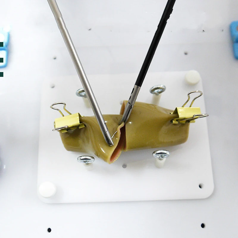 Intestinal Suture Training Model Intestinal Suture Model Bracket Clip Laparoscopic Surgery Training Medical Practice Aids