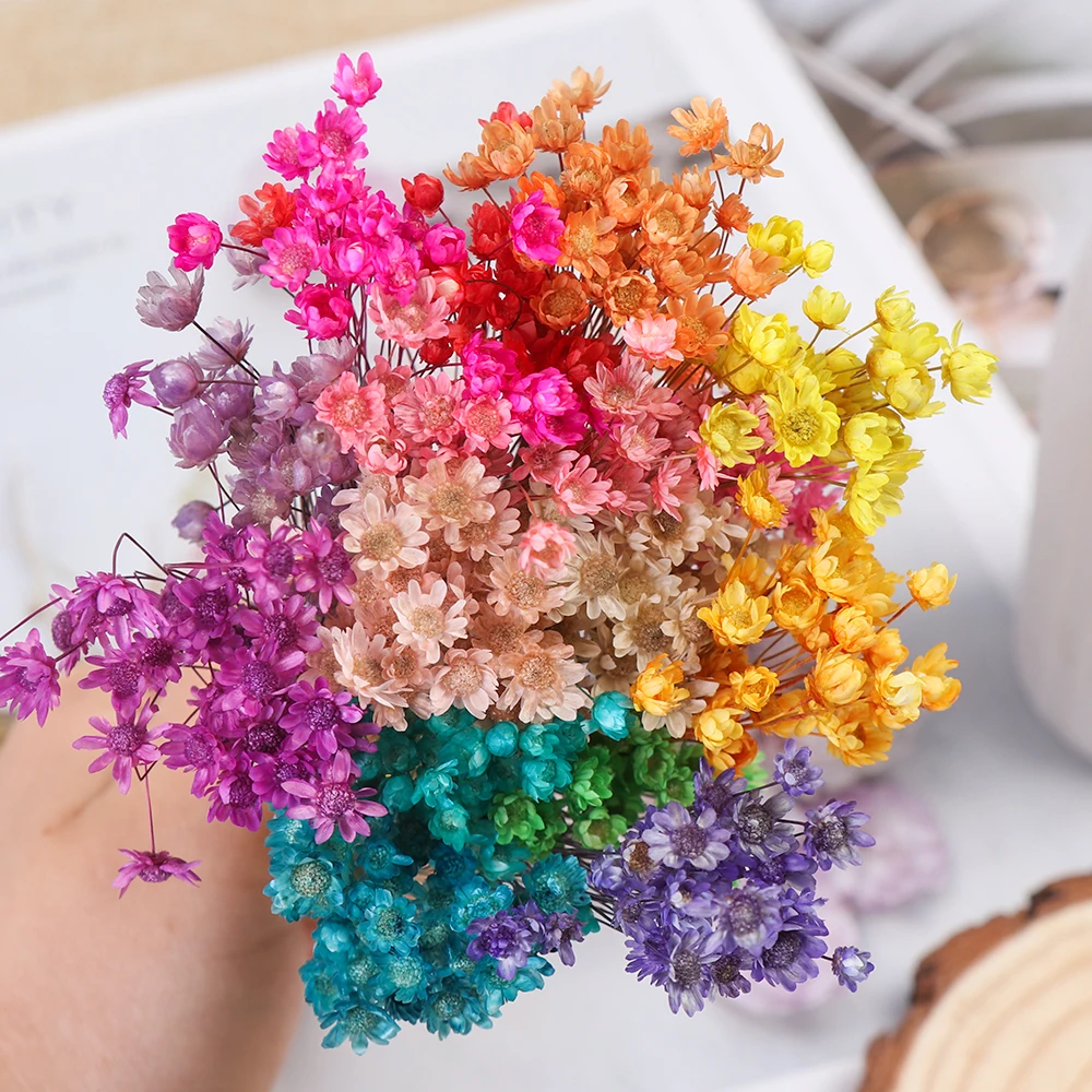 30Pcs Mini Daisy Pampas Small Star Dried Flowers Bouquet Floral Decorative Wedding Home Table Decoration DIY Handmade Crafts