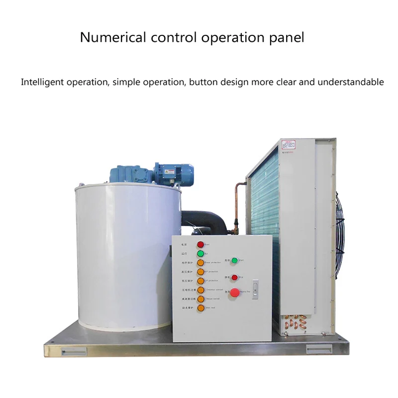 Máquina de hielo en escamas automática para hacer 300kg de pescado tipo Buffet de mariscos