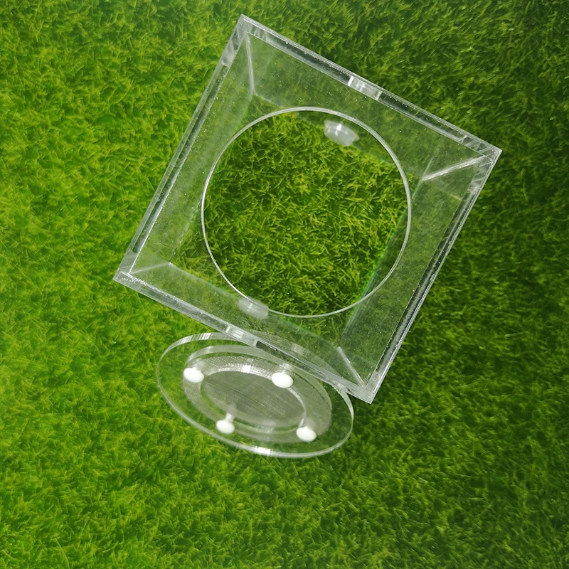 Square Ant Nest Transparent Activity Area Acrylic Ant Farm Climbing Pet Feeding Box 7x7x7 cm