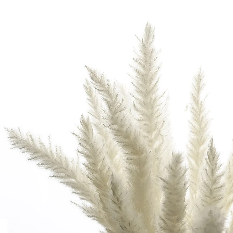 Para Decoracion Real Plants Home Decor Wedding Decoration 15Pcs Dried Small Pampas Grass Flowers Pantas Artificiales Home Decor